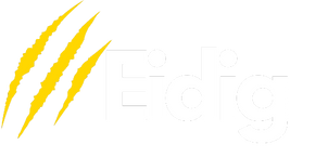 Eidig